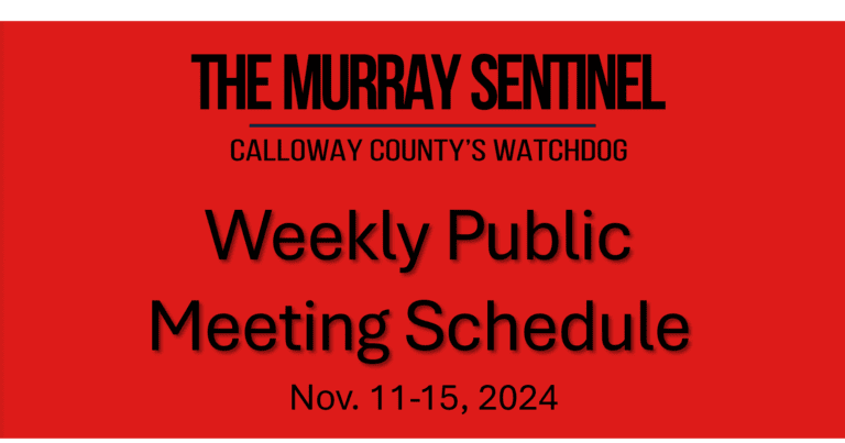 Weekly Public Meeting Schedule (Nov. 11-15)