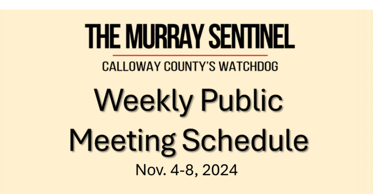 Weekly Public Meeting Schedule (Nov. 4-8)