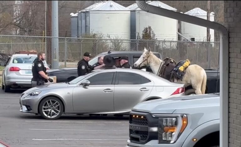 Murray man arrested twice for animal cruelty