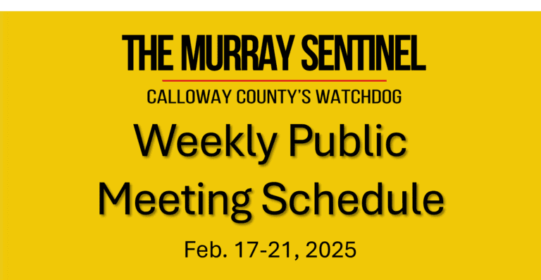 Weekly Public Meeting Schedule (Feb. 17-21)