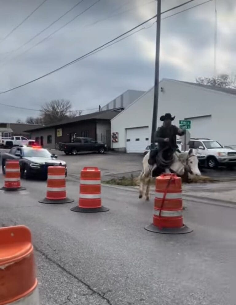 ‘Cowboy Cody’ arrested again